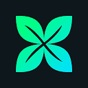 Crossmint logo